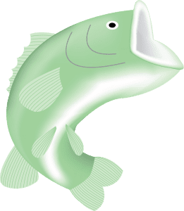 Big Fish Influencers
