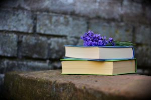 9 (Non) Business Books to Read For Better Relationships in the Workplace 18 bench blur books color 459791 1024x675 1