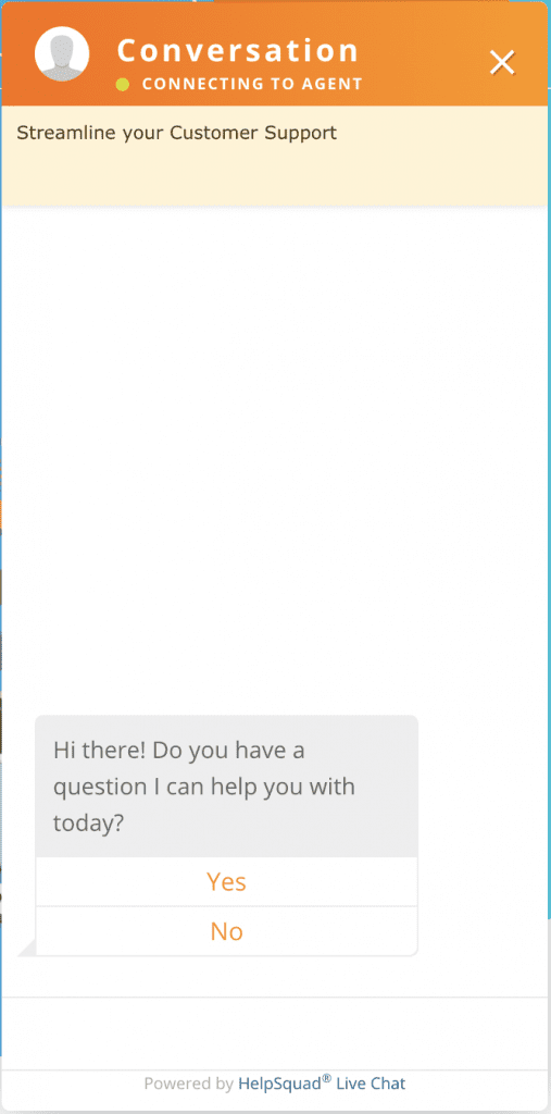 HelpSquad Chat Window