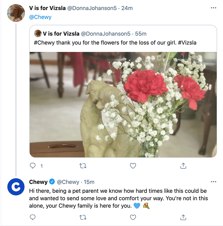 Chewy-social-media